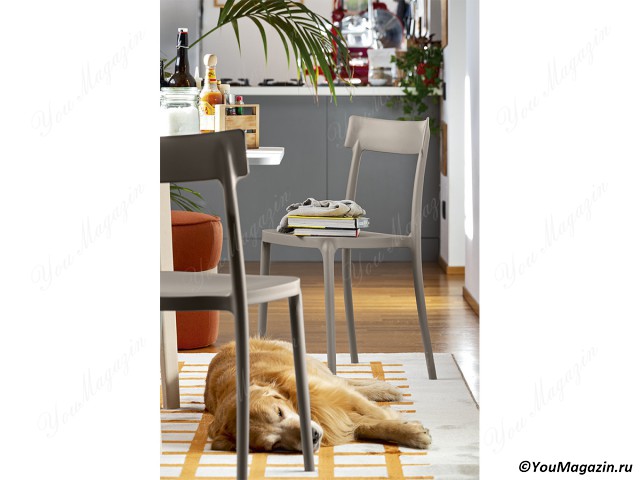 фотографии к товару Обеденный стул